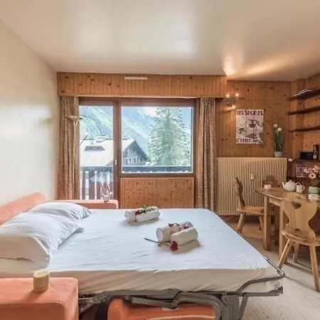 Chamonix-mont-blanc, 2 Pièces, 4 Personnes - Fr-1-517-1 Appartamento Chamonix
